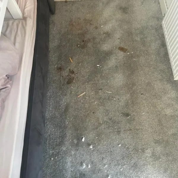 Carpet before being cleaned in London.